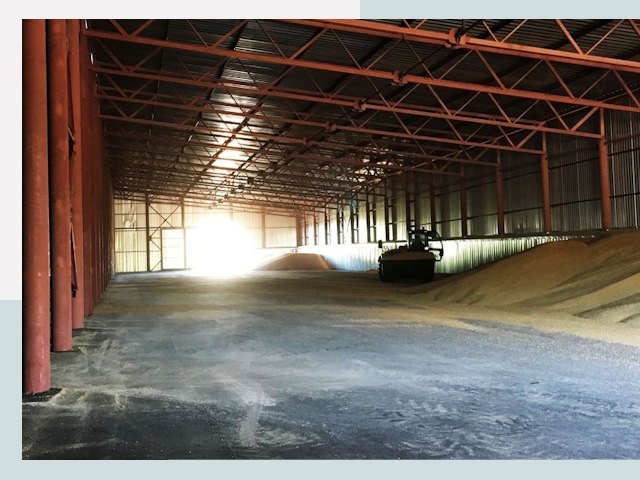 Строительство зернохранилищ в Красноярске